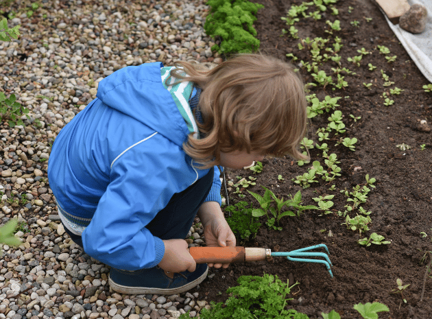 National Education Nature Park – Turn your grey areas green