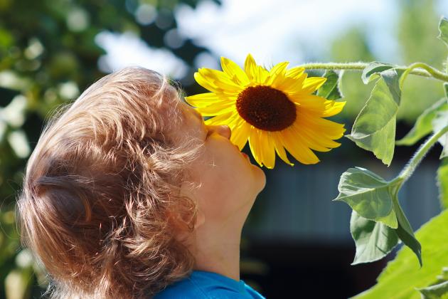 Understanding Non-Dairy Proteins in the Early Years