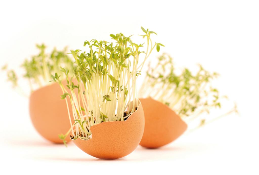 Best Practice Q&A Science in the Early Years Learning and