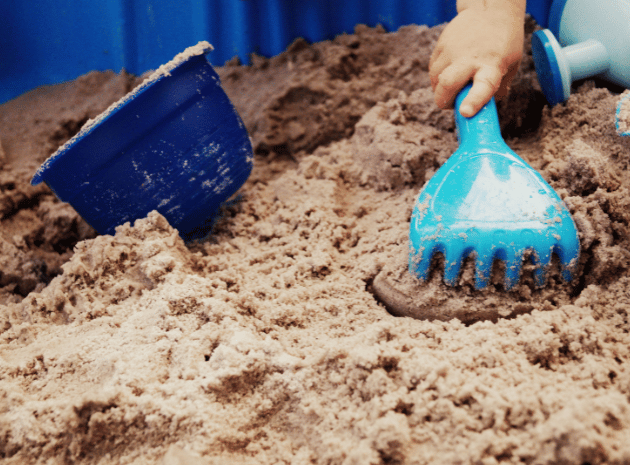 The natural world – Exploring it in Early Years through science