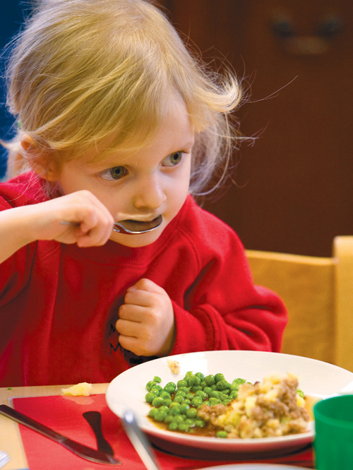 Raising Food Standards in Southwark’s Early Years Settings