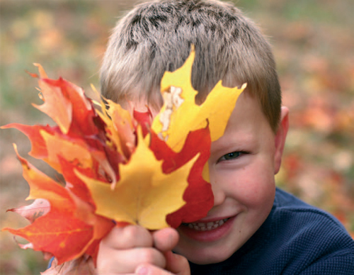 Outdoor Learning: Autumn