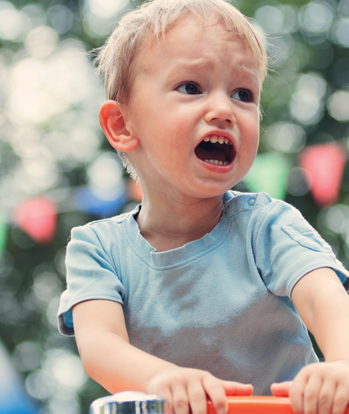 SEN: Understanding Autism
