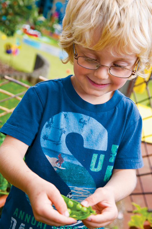Early Years Science Activities for the Great Outdoors