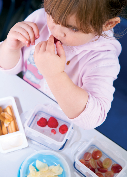 How to Save Money on Your Nursery’s Food Bill