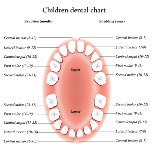 How to Support Trouble-free Teething in Early Years Settings