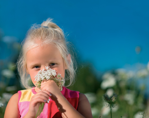 Montessori senses – Create a sensory walk