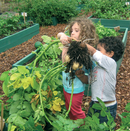 Learning Outdoors at Carlton Hill Community Nursery