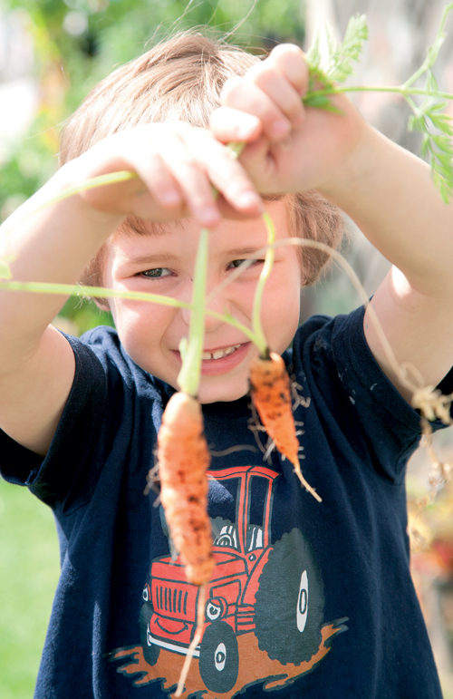 What Children Can Learn From a Growing Garden