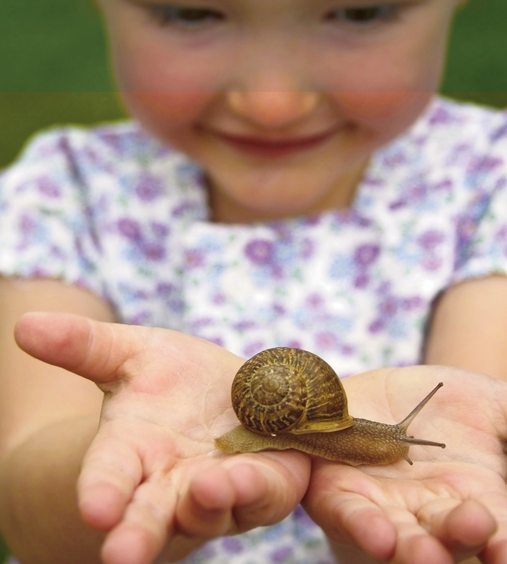 Early Years Outdoor Activities for Summer