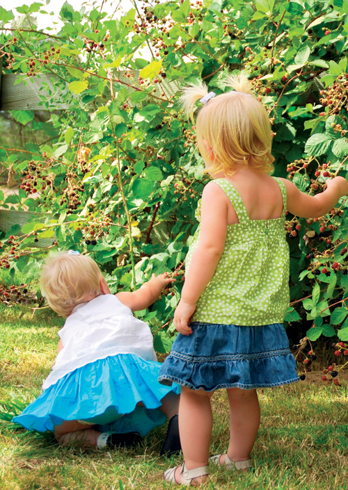 Take Your Children Blackberry Picking
