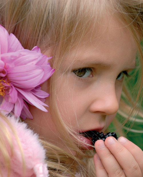 Take Your Children Blackberry Picking