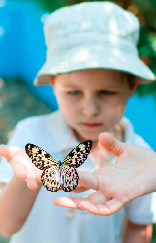 Outdoor Activities for Spring