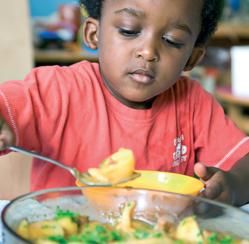 Implementing the voluntary guidelines on food & nutrition