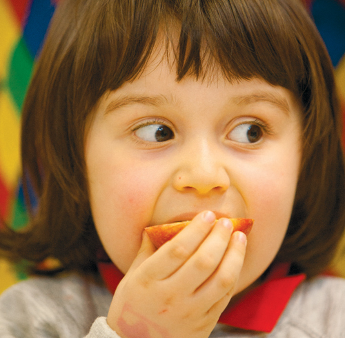 Why We Need to Cut the Salt, Sugar and Fat In Early Years Menus