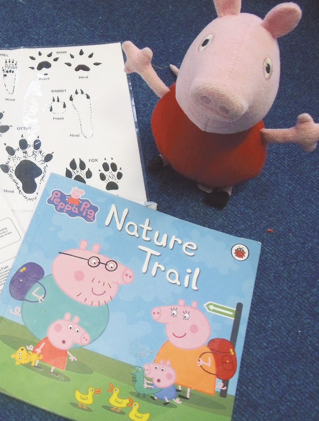 Play to Learn Library