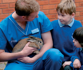 Vet role play – Try this Early Years topic in your setting