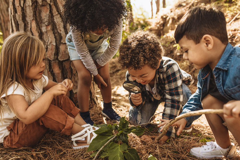 Eco activities for your early years setting