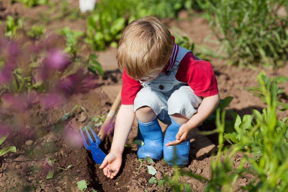 Looking after the environment – 8 ideas for Early Years