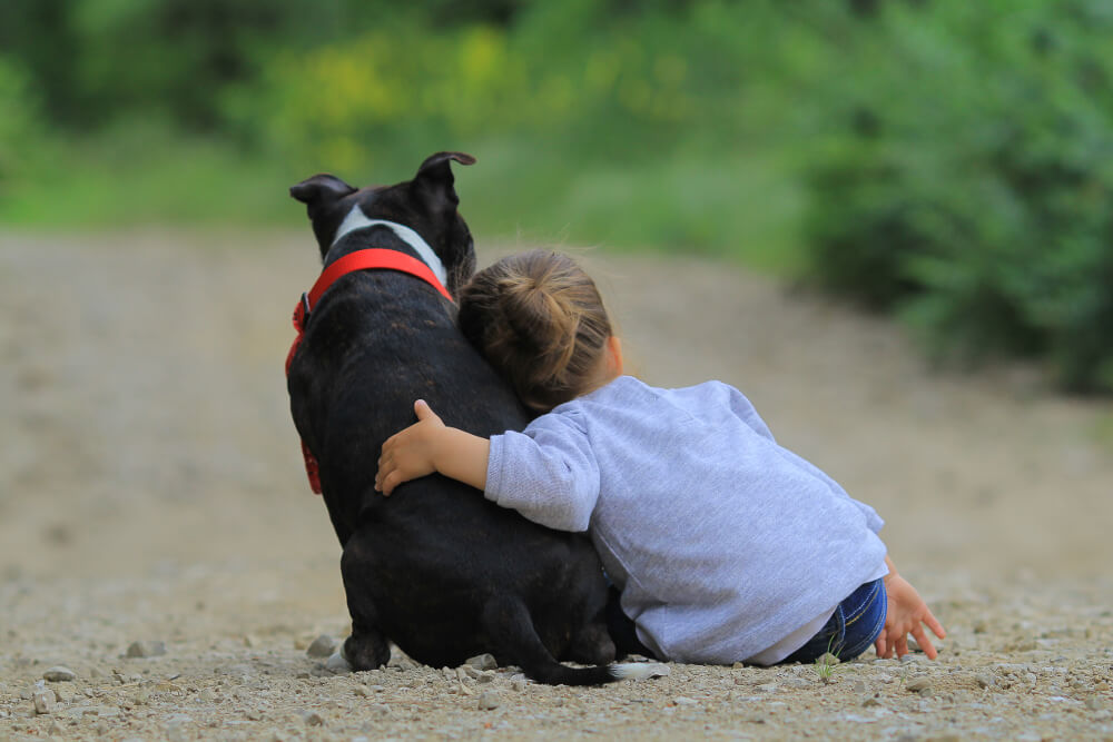 Could a Dog Enhance Your Early Years Provision?