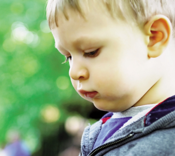 SEN: Understanding Autism