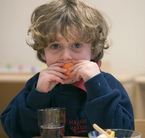 What You Can Do to Improve Your Nursery’s Menus