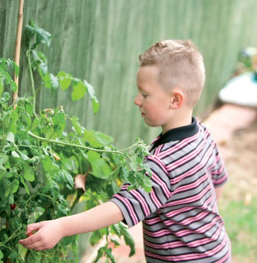 What Children Can Learn From a Growing Garden