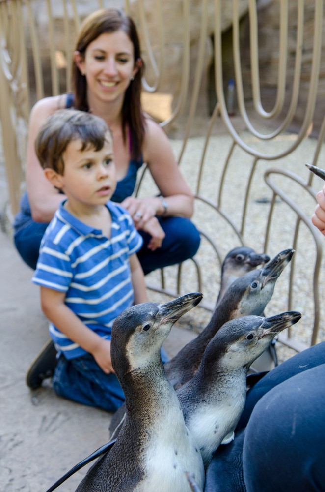 Learning with Longleat