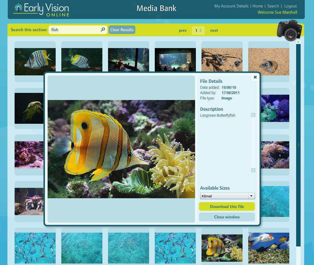 Early Vision Online  Revolutionising Role-Play!