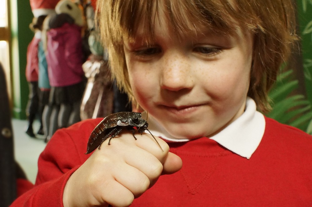 Learning with Longleat