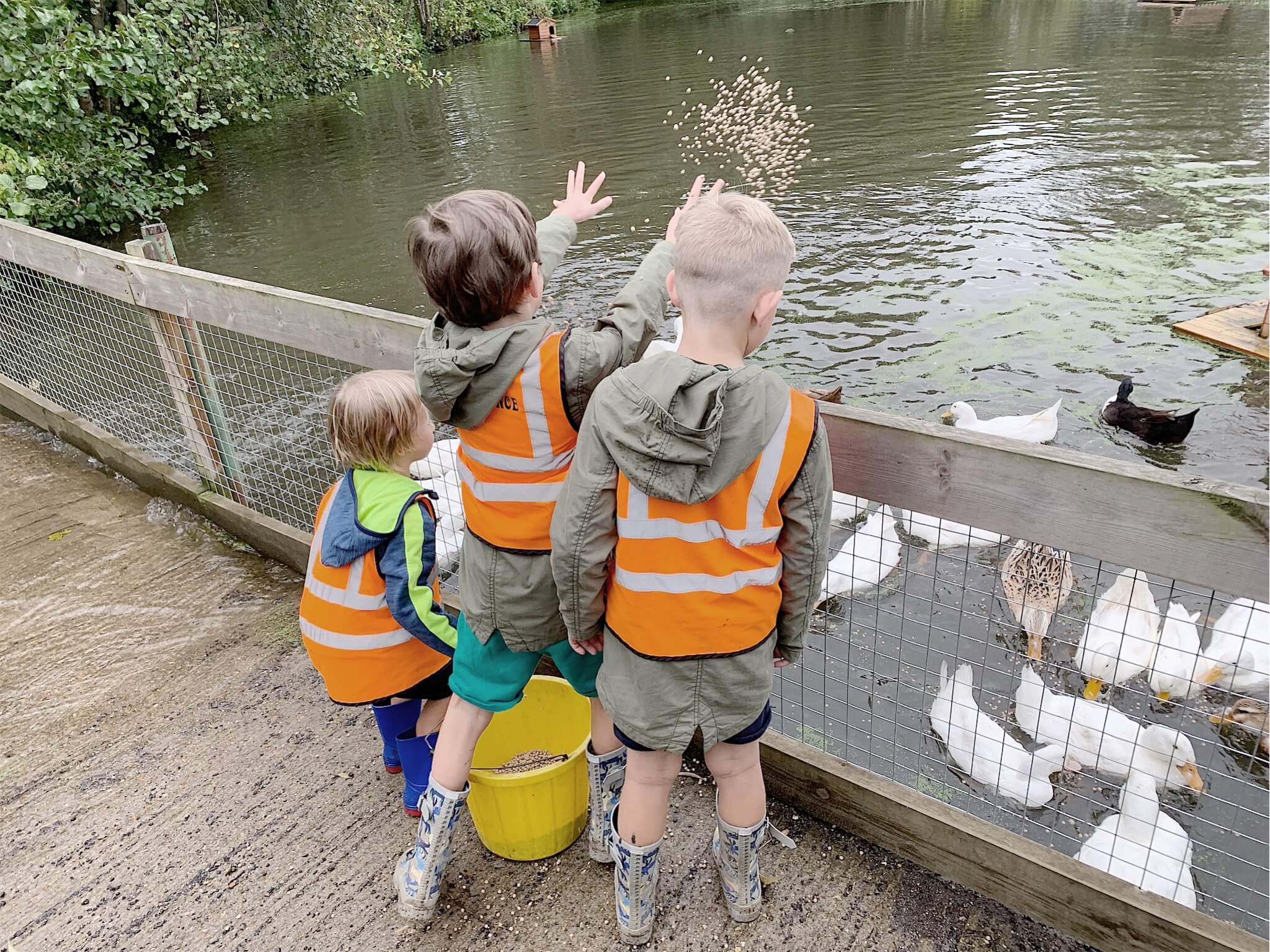 School trip ideas – Get out of the classroom and visit Godstone Farm in Surrey