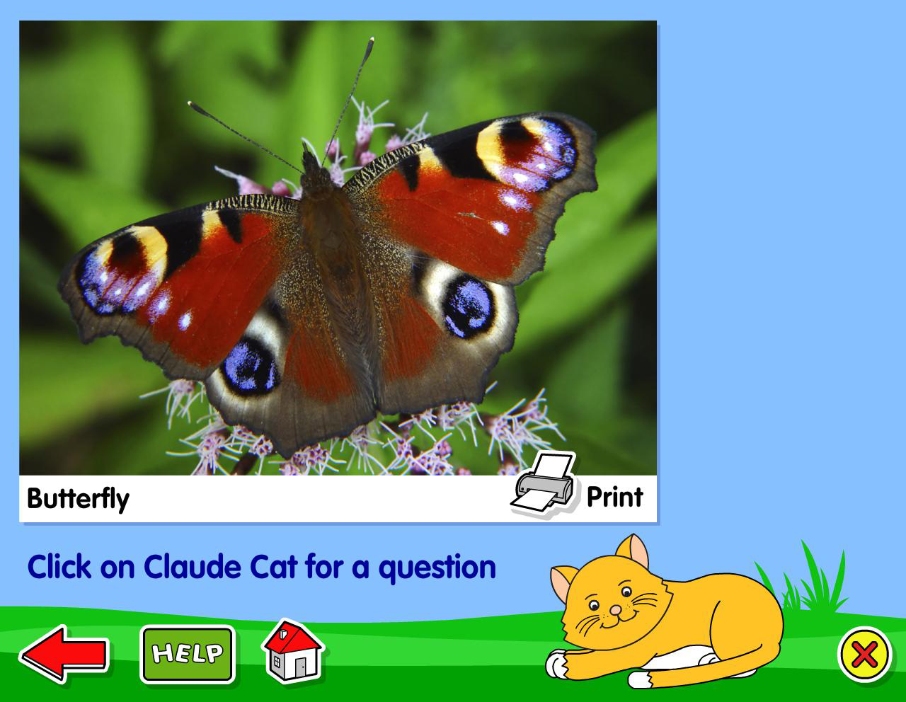 Play Foundations – Award-winning Early Years Resources