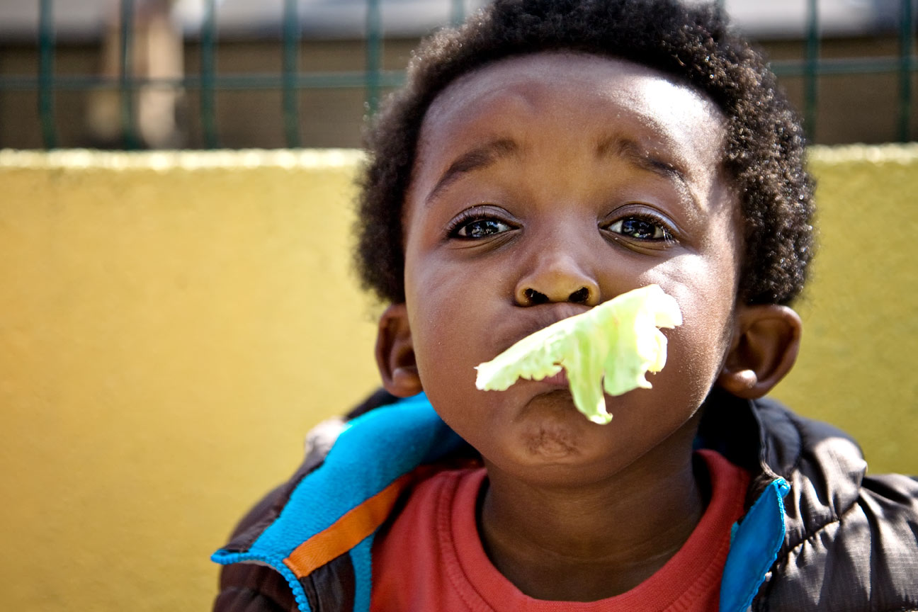 Healthy food and drink for children in early years settings - online training